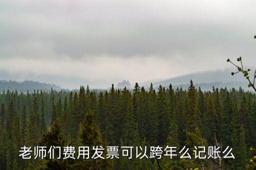 什么發(fā)票可以跨年入賬，增值稅專用發(fā)票可以跨年做賬嗎