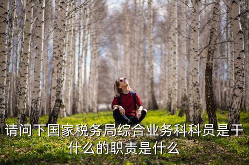 稅務局上班主要做什么，稅務局是干什么的