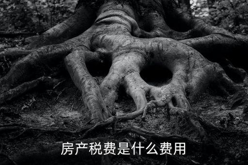 什么是房土兩稅，什么是城鎮(zhèn)土地使用稅