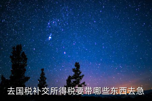 去國(guó)稅補(bǔ)繳增值稅要帶什么，增值稅零申報(bào)逾期申報(bào)了48天 到國(guó)稅補(bǔ)申報(bào)需要準(zhǔn)備什么資料 帶什么