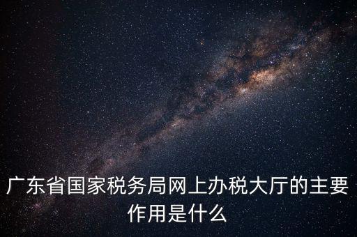 國稅網廳是什么，什么是電子稅務局