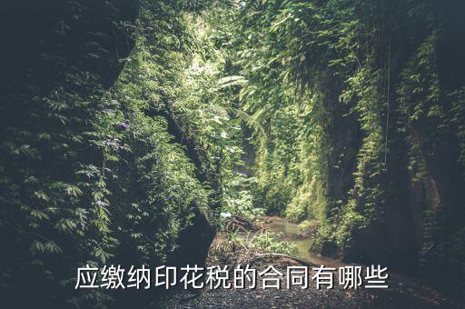 應繳納印花稅的合同有哪些