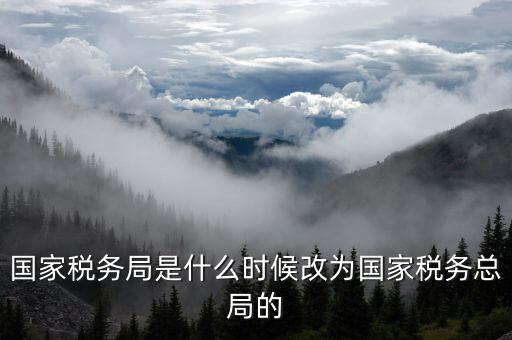 稅務(wù)機構(gòu)改革是什么，稅收征管體制改革內(nèi)容