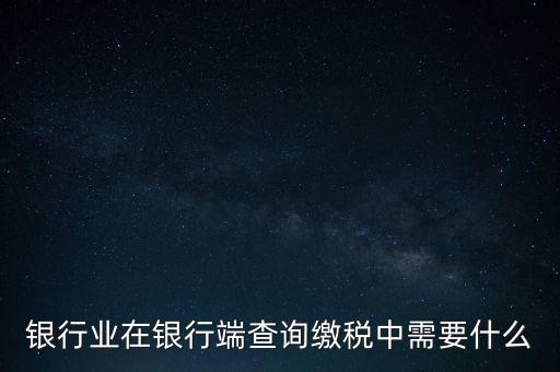 銀行業(yè)在銀行端查詢繳稅中需要什么