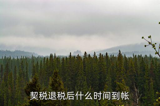 退稅款什么時候到賬，出口退稅款一般多久到賬