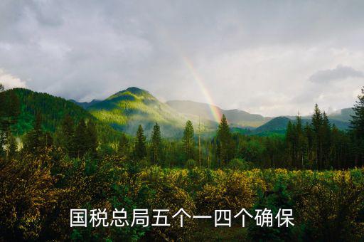 稅務(wù)局五個(gè)一是什么意思，國稅總局五個(gè)一四個(gè)確保