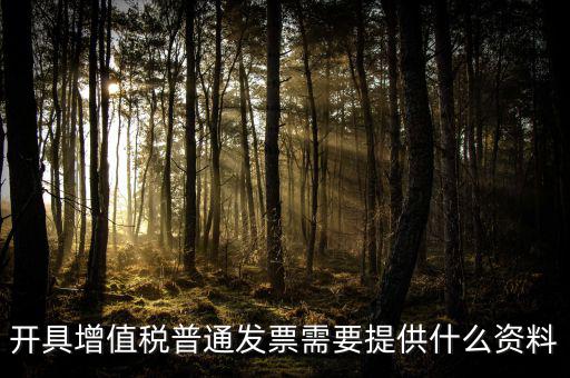 開(kāi)增值稅提供什么資料，開(kāi)具增值稅普通發(fā)票需要提供什么資料