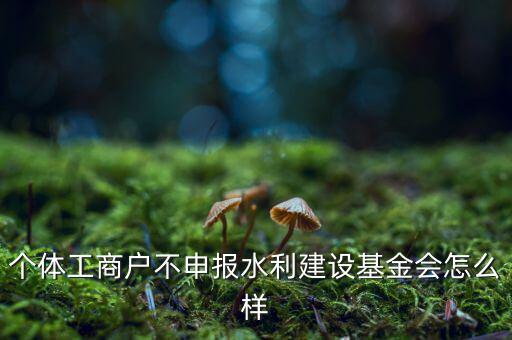 水利基金不報有什么后果，水利建設(shè)基金計稅當(dāng)月沒報有影響嗎