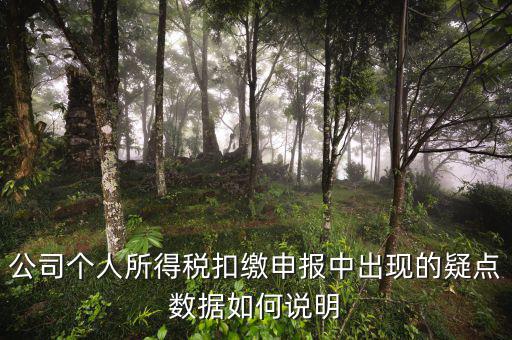公司個(gè)人所得稅扣繳申報(bào)中出現(xiàn)的疑點(diǎn)數(shù)據(jù)如何說明