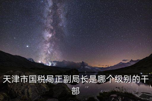 國稅局副局長是什么級別，天津市國稅局正副局長是哪個(gè)級別的干部