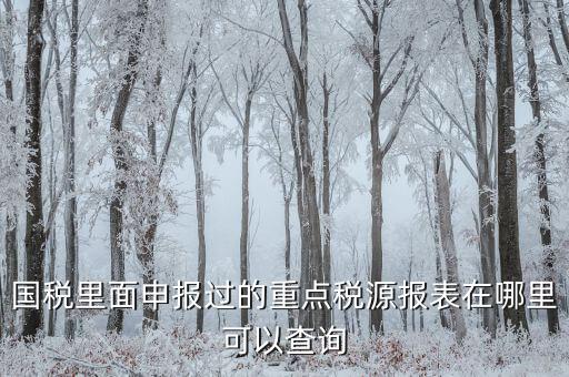重點(diǎn)稅源預(yù)測(cè)網(wǎng)址是什么，國(guó)稅里面申報(bào)過的重點(diǎn)稅源報(bào)表在哪里可以查詢