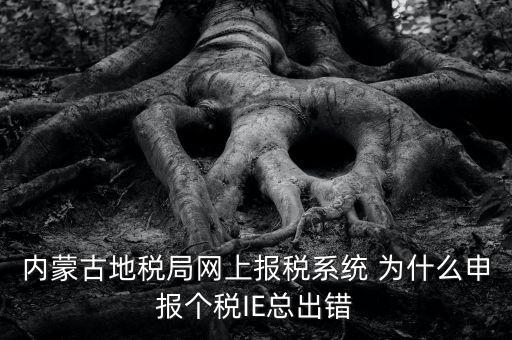 為什么內(nèi)蒙古國(guó)地稅網(wǎng)進(jìn)不去，windows7內(nèi)蒙古地稅報(bào)稅系統(tǒng)顯示無(wú)法顯示該網(wǎng)頁(yè)