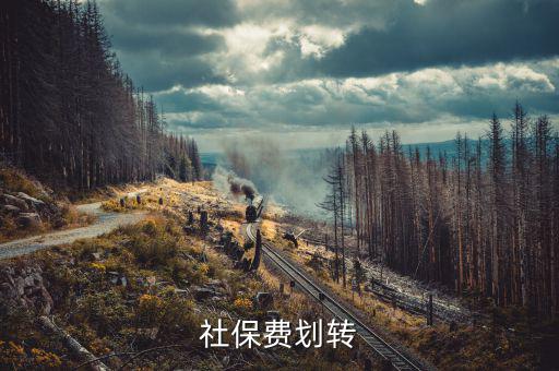 社保費(fèi)征管職責(zé)劃轉(zhuǎn)移交些什么，2020年新疆社會保險費(fèi)征管職責(zé)劃轉(zhuǎn)包包括哪些內(nèi)容