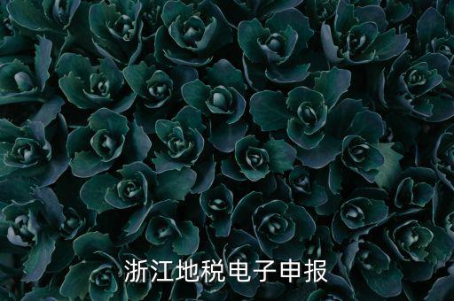 浙江地稅申報(bào)的是什么，浙江地稅怎么申報(bào)