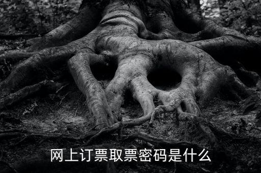 網(wǎng)絡(luò)發(fā)票密碼是什么，發(fā)票上密碼有什么用