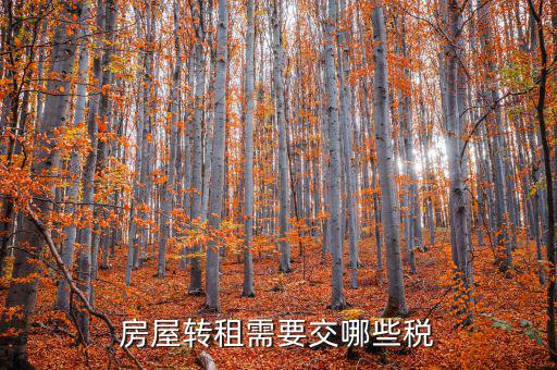 轉(zhuǎn)租房屋需要交什么稅，房屋轉(zhuǎn)租需要交哪些稅