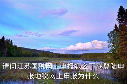 為什么江蘇地稅稅號登不進去，請問江蘇國稅網(wǎng)上申報怎么下載登陸申報地稅網(wǎng)上申報為什么