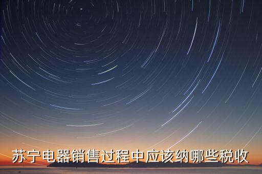 下列什么可以納入稅務，蘇寧電器銷售過程中應該納哪些稅收
