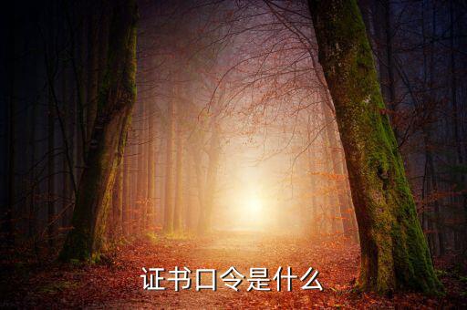 新稅盤證書口令是什么意思，金稅盤口令有什么用