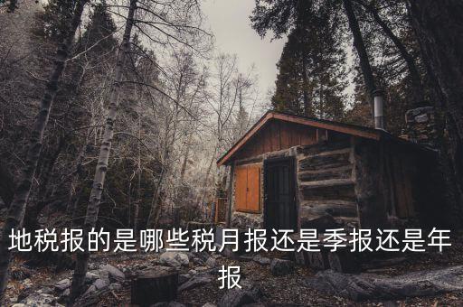 2017地稅月報(bào)的有什么，公司是小規(guī)模納稅人月報(bào)和季報(bào)時(shí)國稅和地稅各需報(bào)什么  搜