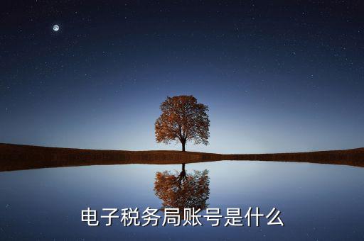 電子稅務(wù)局賬號是什么