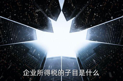 企業(yè)所得稅征收品目是什么，征收品目是什么