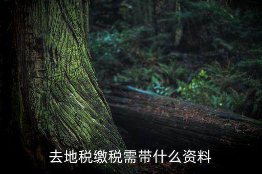 無(wú)錫地稅需要帶什么材料，去地稅繳稅需帶什么資料