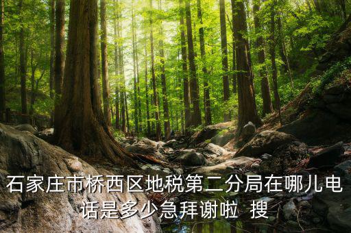 地稅二分局是做什么的，地稅科查局是做什么的