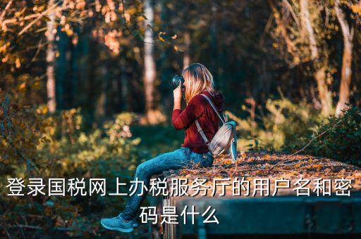 陜西電子稅務(wù)局登錄賬號(hào)是什么，登錄國(guó)稅網(wǎng)上辦稅服務(wù)廳的用戶名和密碼是什么