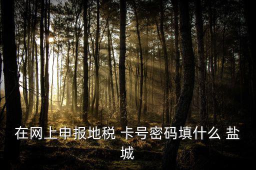微信申報地稅的密碼是什么，地稅申報的用戶名和密碼是什么