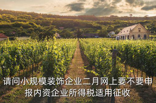 請問小規(guī)模裝飾企業(yè)二月網上要不要申報內資企業(yè)所得稅適用征收