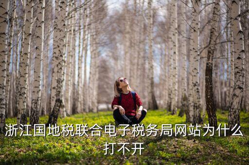 為什么國(guó)稅電子稅務(wù)局進(jìn)不去，浙江國(guó)地稅聯(lián)合電子稅務(wù)局網(wǎng)站為什么打不開