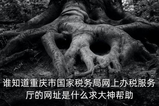 重慶稅務網(wǎng)站是什么，那個小型企業(yè)網(wǎng)上申報稅務的網(wǎng)站是多少啊發(fā)了一張流程表上