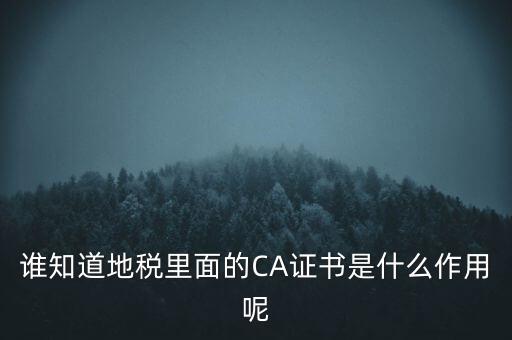地稅的ca證書是什么，什么是聯通ca證書地稅ca證書