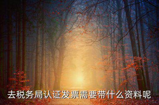 發(fā)票認(rèn)證都需要帶什么，去開票大廳認(rèn)證發(fā)票需要帶什么資料