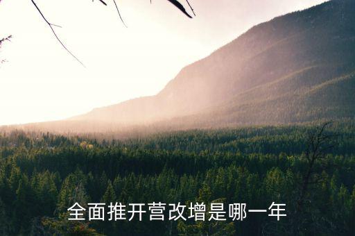17年?duì)I改增改了什么時(shí)候，全面推開(kāi)營(yíng)改增是哪一年