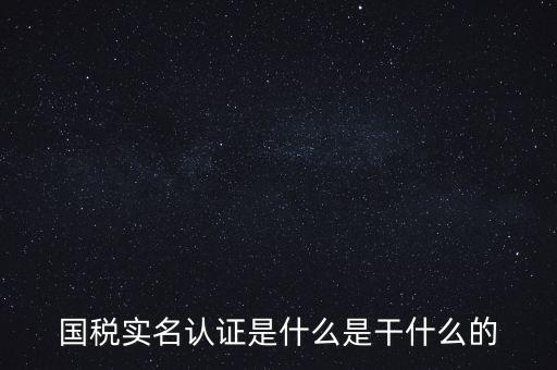 國(guó)稅實(shí)名制認(rèn)證要什么，國(guó)稅實(shí)名認(rèn)證是什么是干什么的