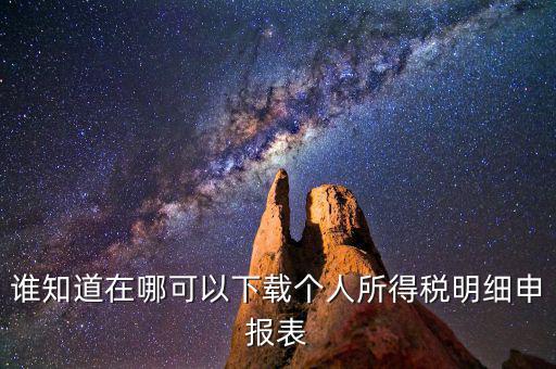 誰知道在哪可以下載個人所得稅明細(xì)申報表