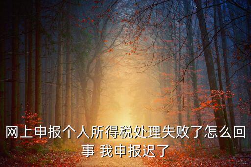 稅款處理失敗什么意思，扣繳稅款失敗提示銀財通處理失敗FAPP00444要怎樣處理才可以扣款