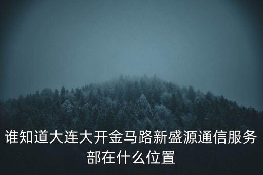信息服務(wù)部可以叫什么地方，誰知道大連大開金馬路新盛源通信服務(wù)部在什么位置