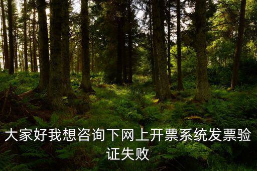 網(wǎng)上申領(lǐng)發(fā)票為什么一直失敗，領(lǐng)取發(fā)票每次都這樣失敗網(wǎng)絡(luò)沒(méi)有任何問(wèn)題求大神幫幫我看看