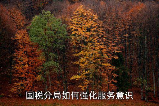 國稅分局如何強化服務意識