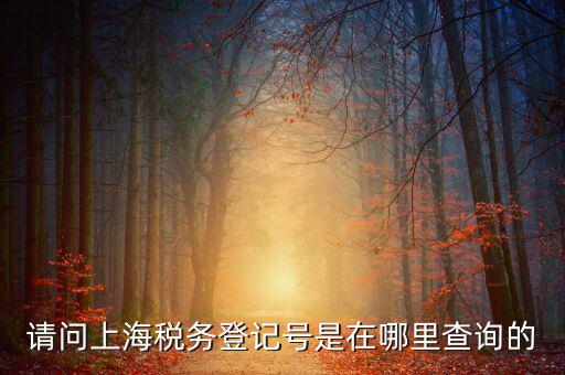 上海的稅務(wù)賬號(hào)是什么，請(qǐng)問上海稅務(wù)登記號(hào)是在哪里查詢的