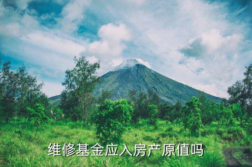 維修基金應入房產(chǎn)原值嗎
