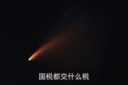 國(guó)稅都交什么稅