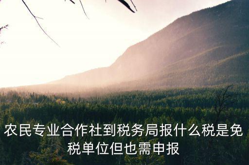 合作社應(yīng)報什么稅，農(nóng)民專業(yè)合作社是怎樣報稅的是企業(yè)還是個體戶
