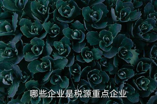 哪些企業(yè)是稅源重點企業(yè)
