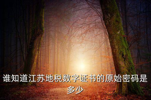 江蘇地稅登錄密碼是什么，江蘇地稅開(kāi)票密碼是多少