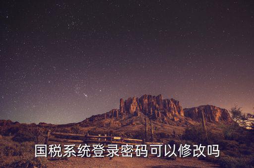 如何修改國(guó)稅申報(bào)登錄密碼是什么意思，國(guó)稅網(wǎng)上申報(bào)密碼忘記了怎么重設(shè)