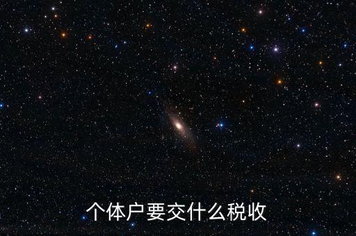 個(gè)體地稅交什么稅，個(gè)體戶(hù)要交什么稅收